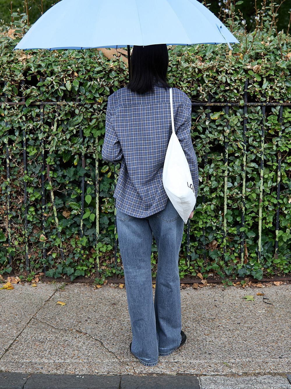 REGULAR FIT SHIRT_BLUE BIRD CHECK