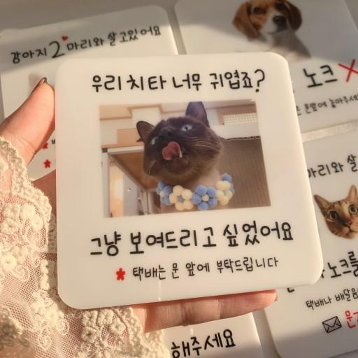반려동물 포토 도어사인 현관문패 명패