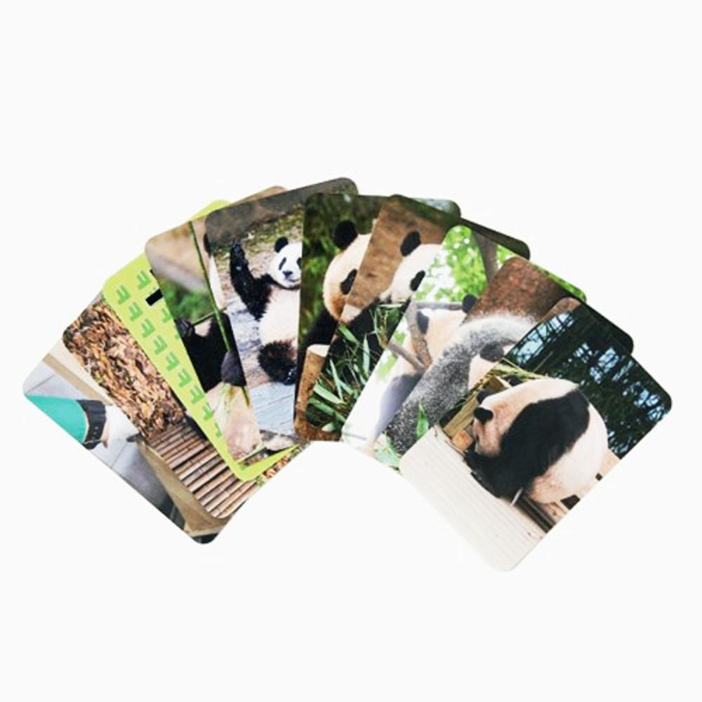 에버랜드 푸바오 부적 행복카드 세트 (10PCS)