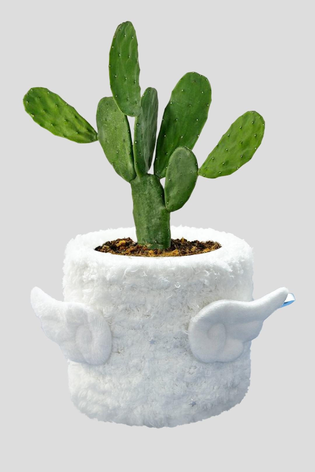 Fuzzy pot_Angel (White)