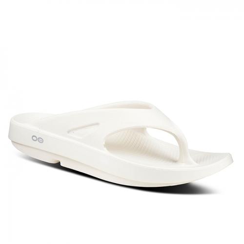 OORIGINAL EEGNOG - 조리 에그녹