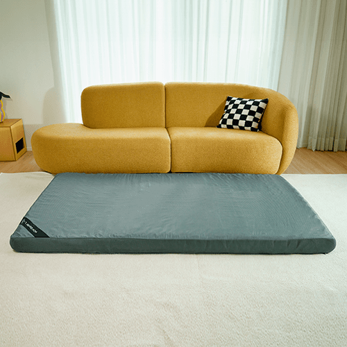 투사이드 (퀸 Q)