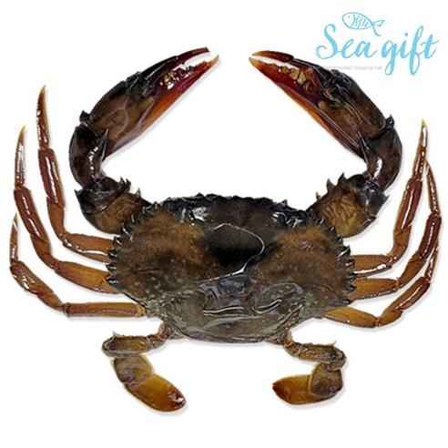 [씨기프트]소프트쉘 크랩 900g 13미 내외 껍질먹는게 톱날꽃게 푸팟퐁커리 머드크랩 - 꽃게 | 쿠팡