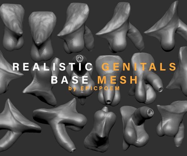 ArtStation - Realistic male genitals base mesh ZTL & OBJ | Resources