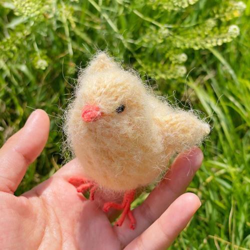 병아리 피요피요