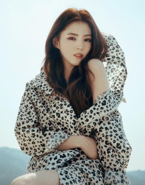 레인코트 375513 [8color]
