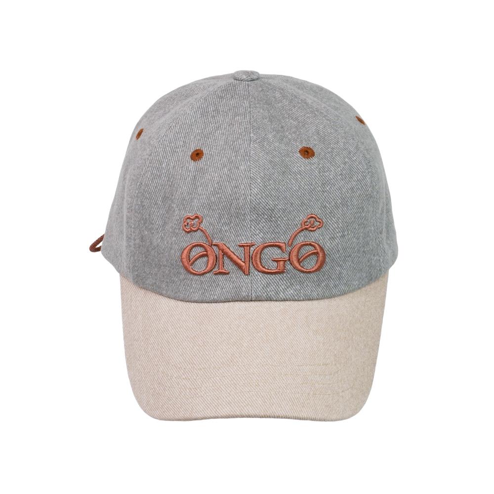 Two Tone Logo Cap_Ash Sand