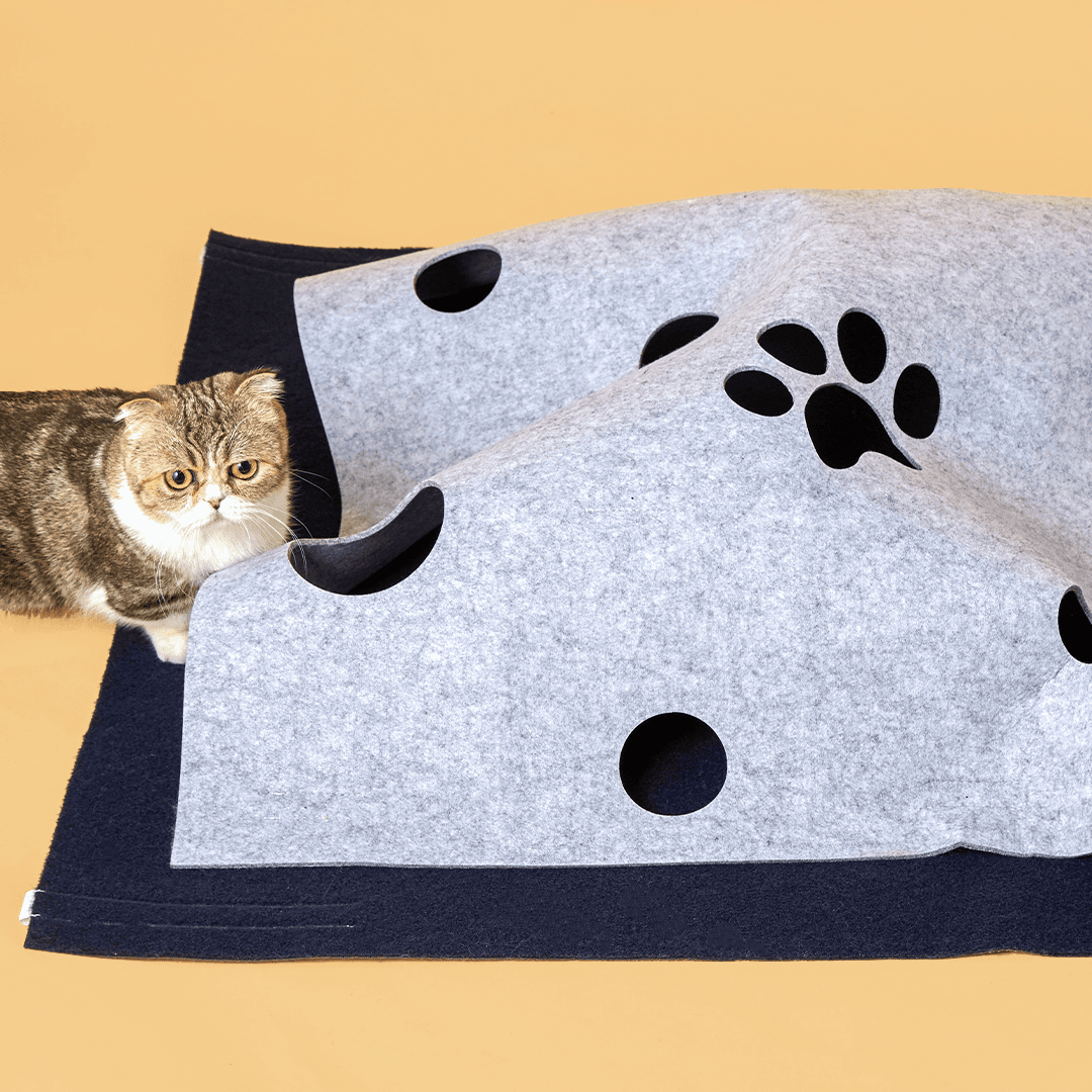 고양이섬 비밀아지트 송송매트