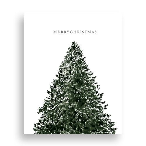 크리스마스 트리 [프리미엄]