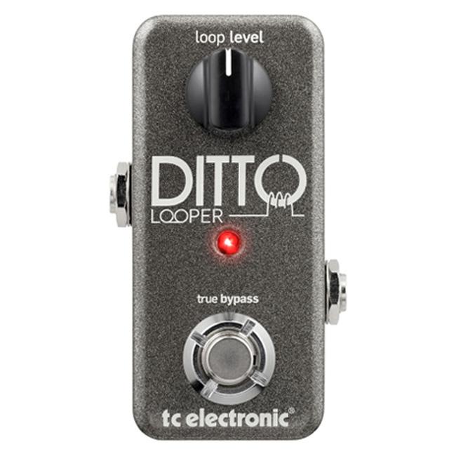 TC Electronic - Ditto Looper / 루퍼