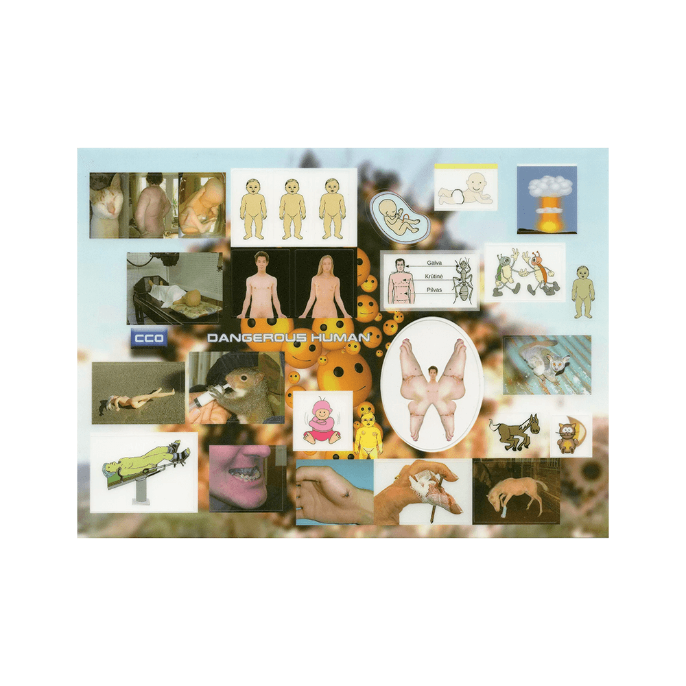 [niptong] CC0 dangerous human 인체과학 의학 배아 투명 스티커