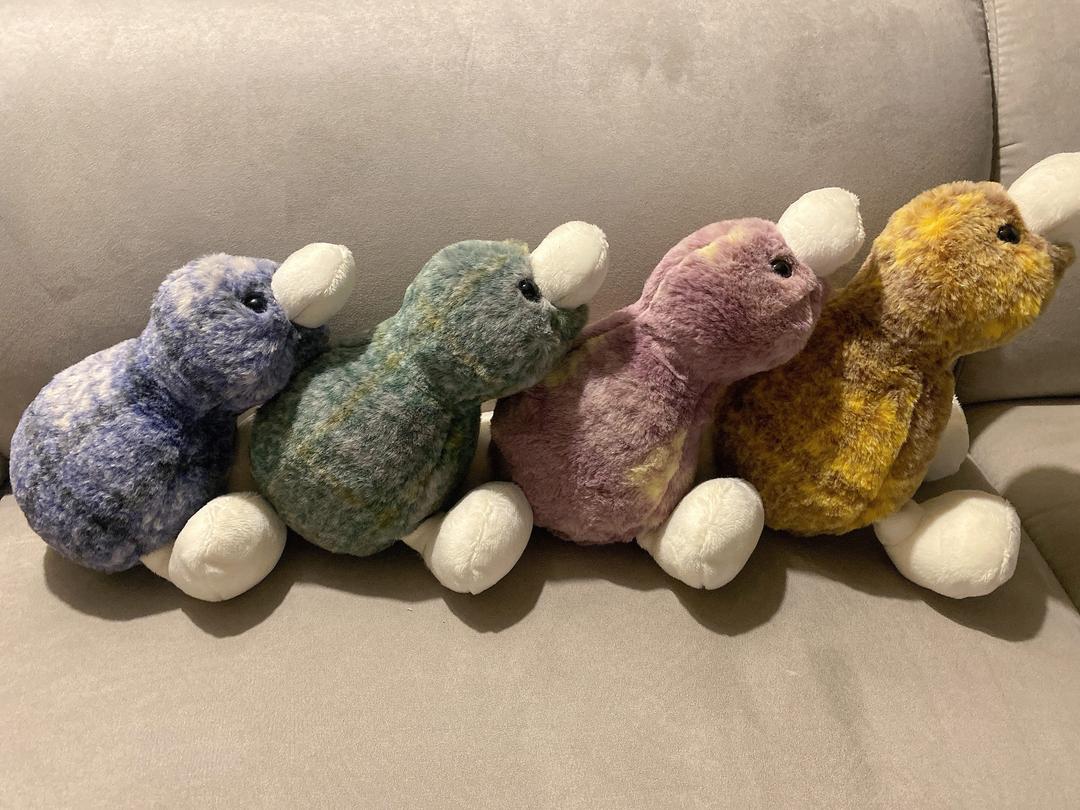 [4color] 25cm HoliDuck