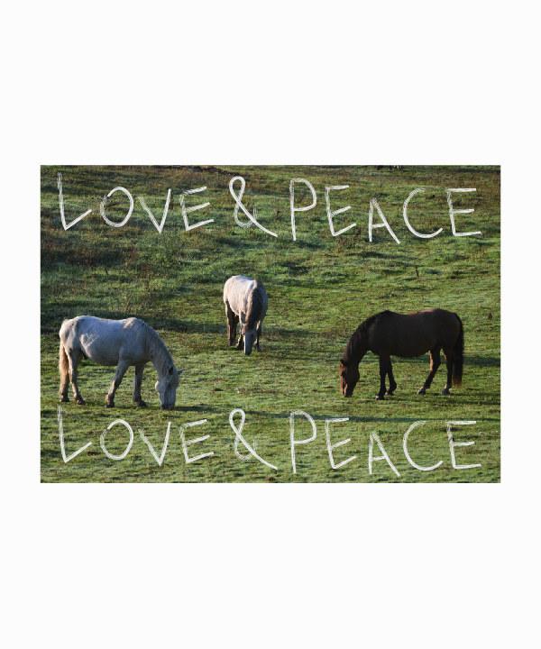 Love and peace 패브릭 포스터 가림막천