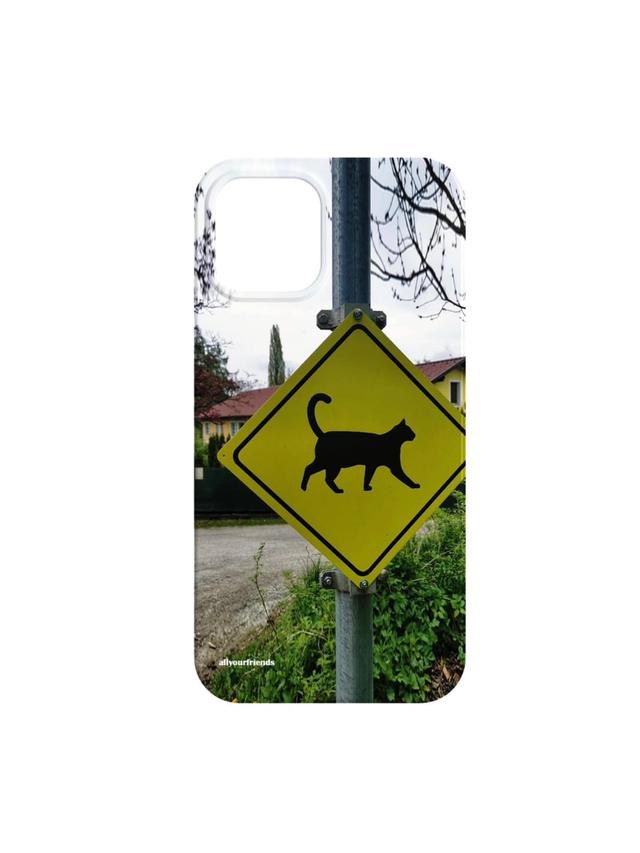 Notice cat case