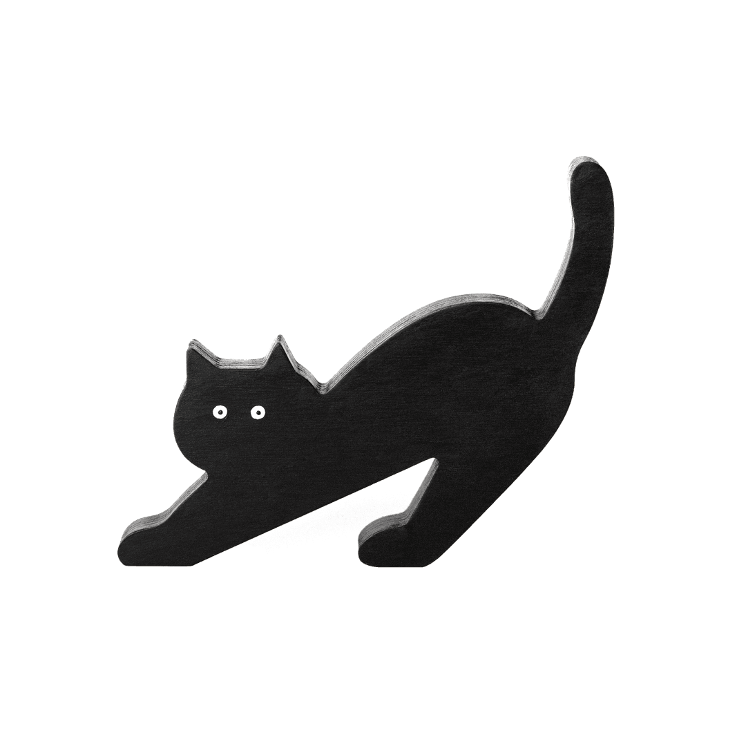 Yoga Cat