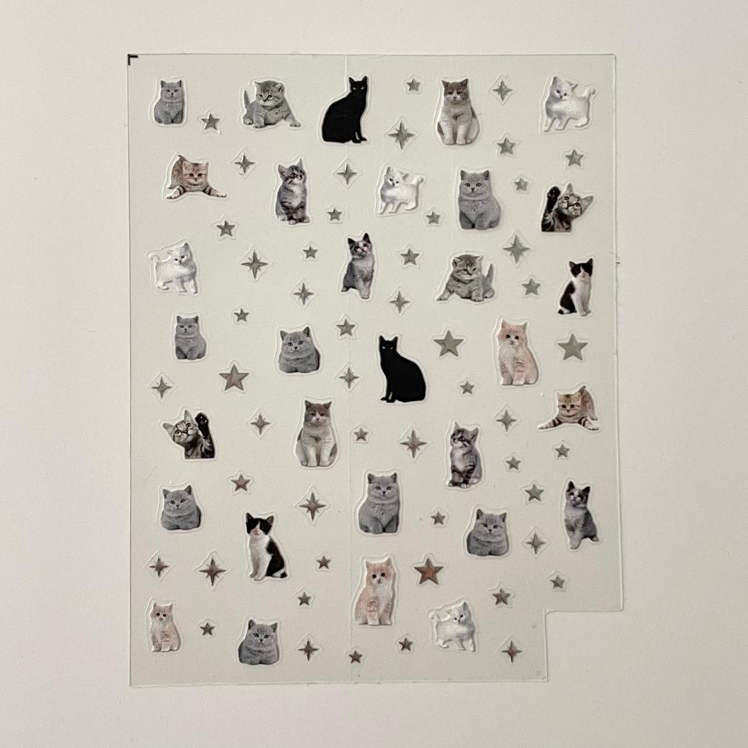 cat camera stickers