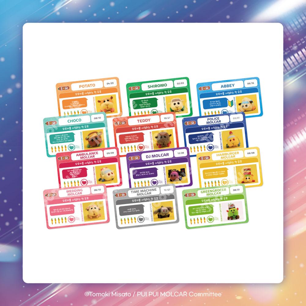 뿌이 뿌이 모루카 - 모루카 운전 면허증