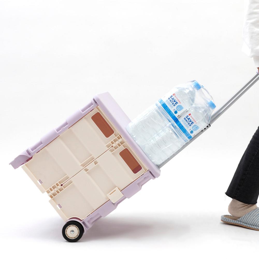 바네스데코 접이식 핸드카트 2바퀴 블랙퍼플 50L/35kg 덮개X