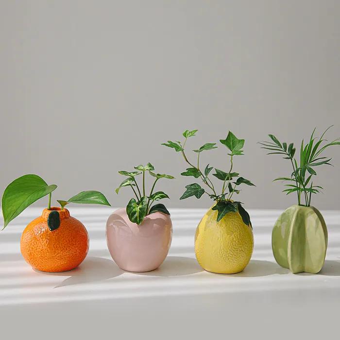 프루트과일 diy수경 4종 수경재배식물