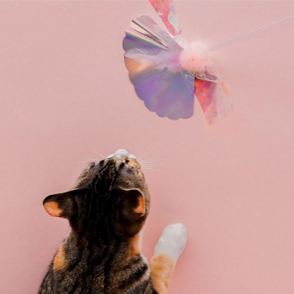 쥬아펫 반달무지개 고양이 장난감