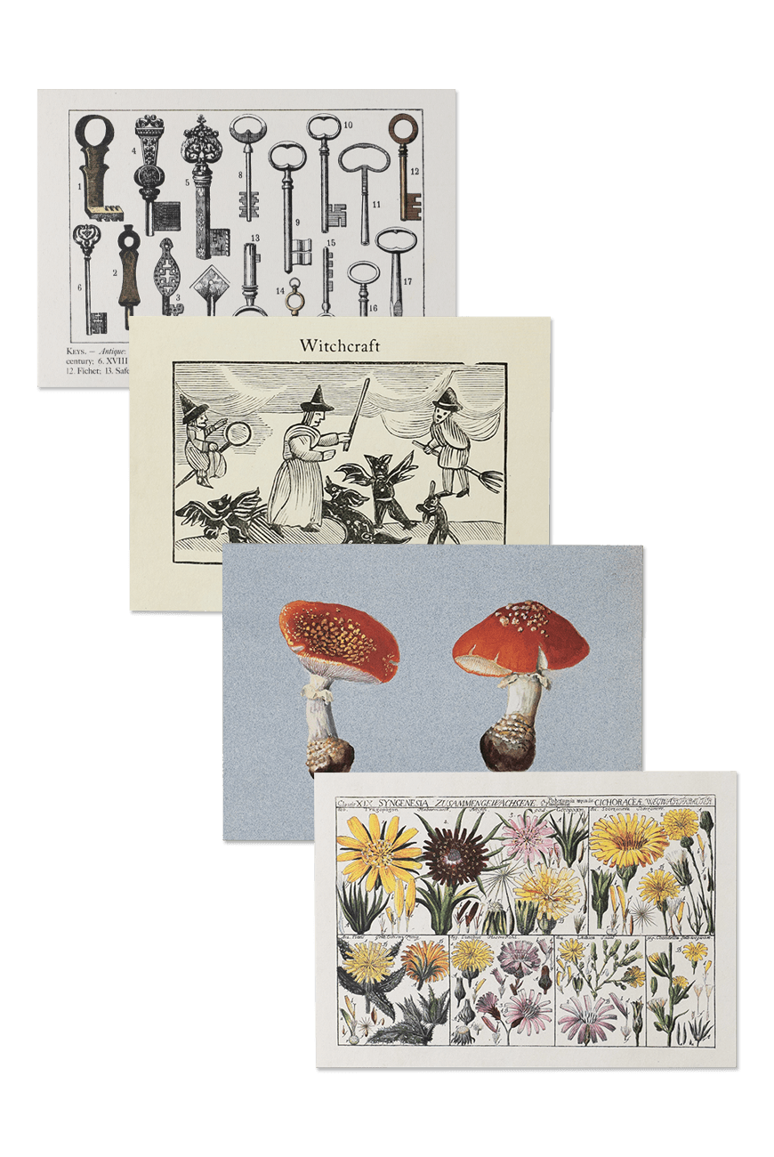 그리팅 카드 Card & Envelope