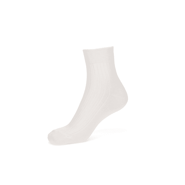 Premium Silky Cotton Short Crew Socks - White / 5-8