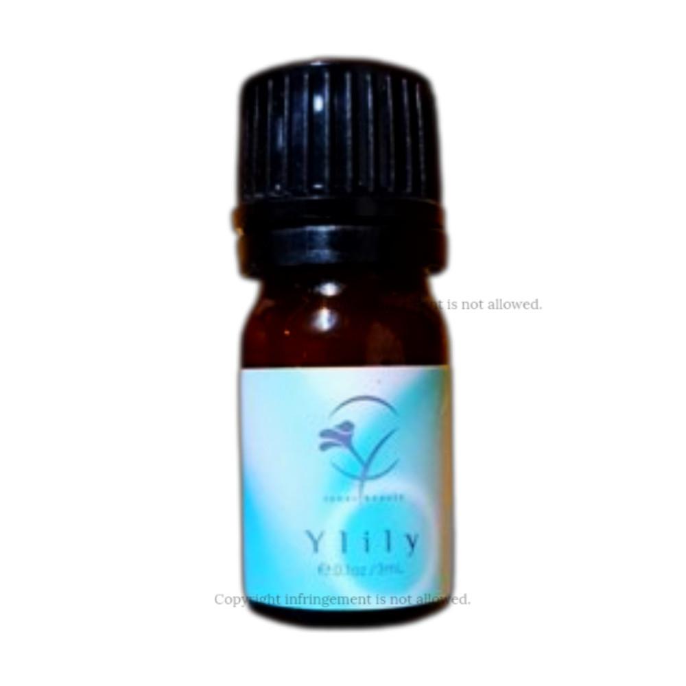 와이블룸 와이릴리 Y존케어 여성청결제 이너퍼퓸 3m