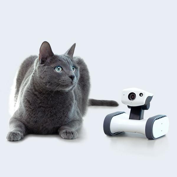 움직이는 CCTV 앱봇 라일리, 강아지 고양이 CCTV (홈캠 카메라)