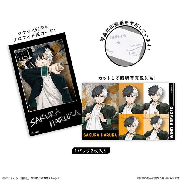 WIND BREAKER SmaMide Haruka Sakura(Released)