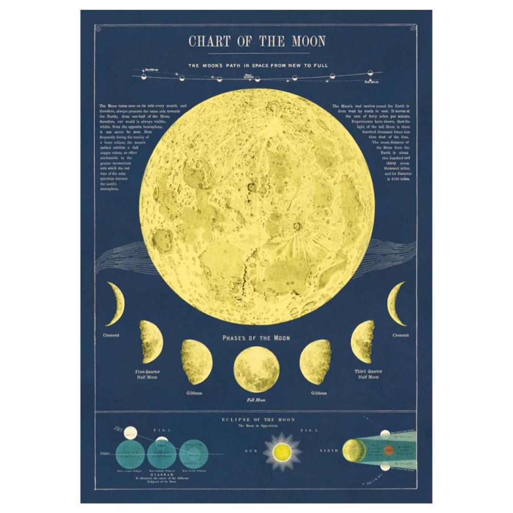 [카발리니][CAVALLINI] WRAP/POSTER - MOON CHART / 카발리니 포스터 (50x70)