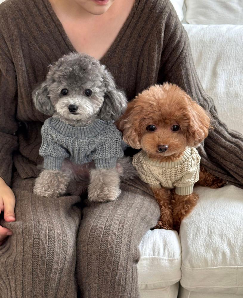 오구오구 강아지옷 곰돌이 꽈배기 니트 S