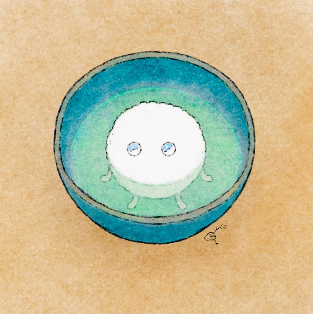 밥동이 엽서