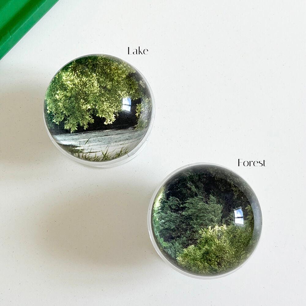 Forest & Lake 그립톡