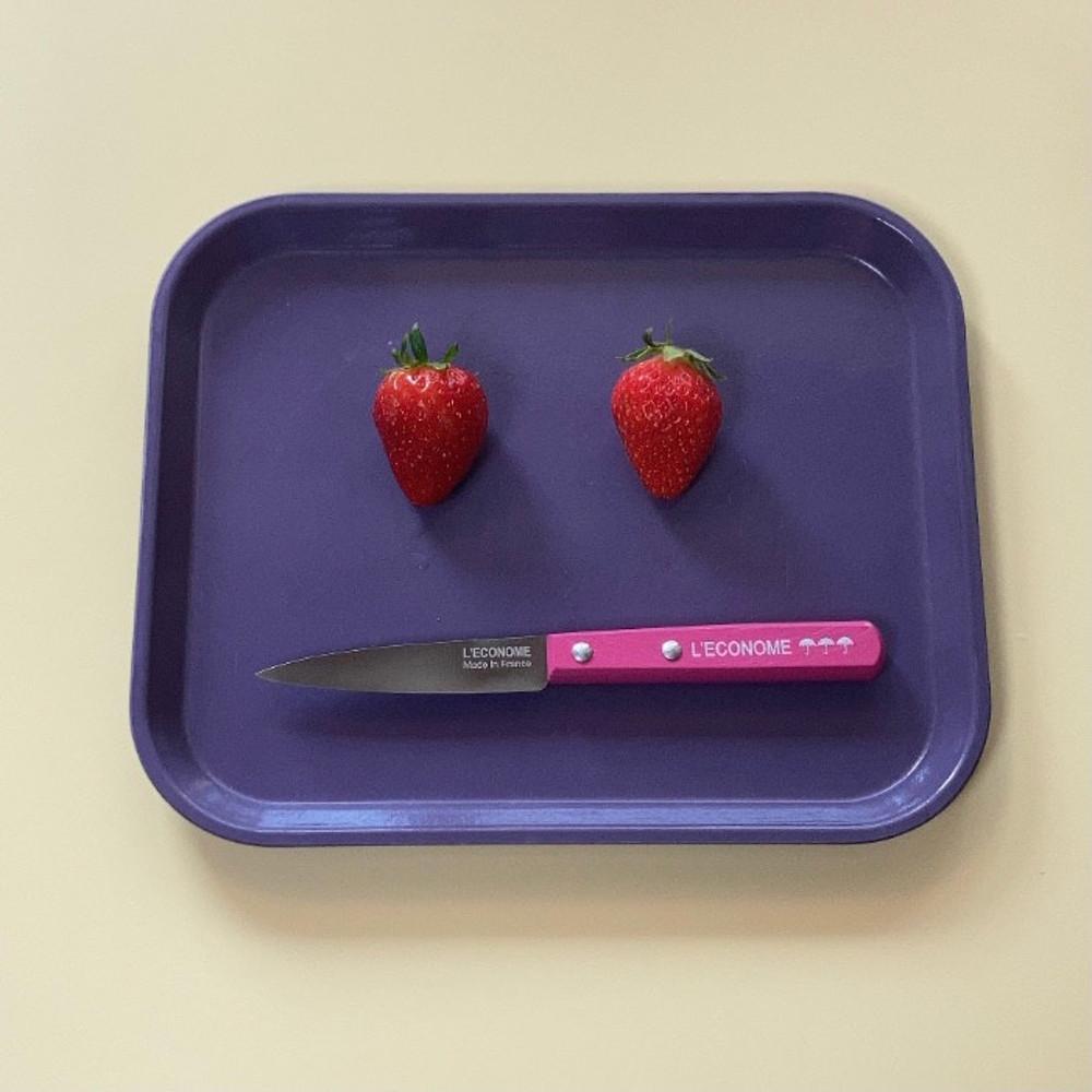 레꼬놈 쁘띠 나이프 (프랑스 빈티지 과도 / 홈카페 페어링 나이프)