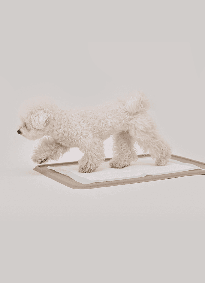 강집사 실리콘 날개 배변매트 표준형 논슬립 화장실