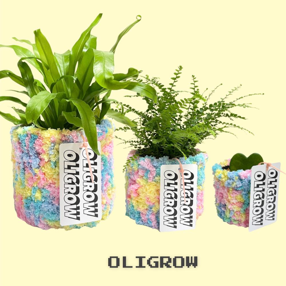 (자체제작)  퍼피팟2 솜사탕맛 니팅화분 식물세트