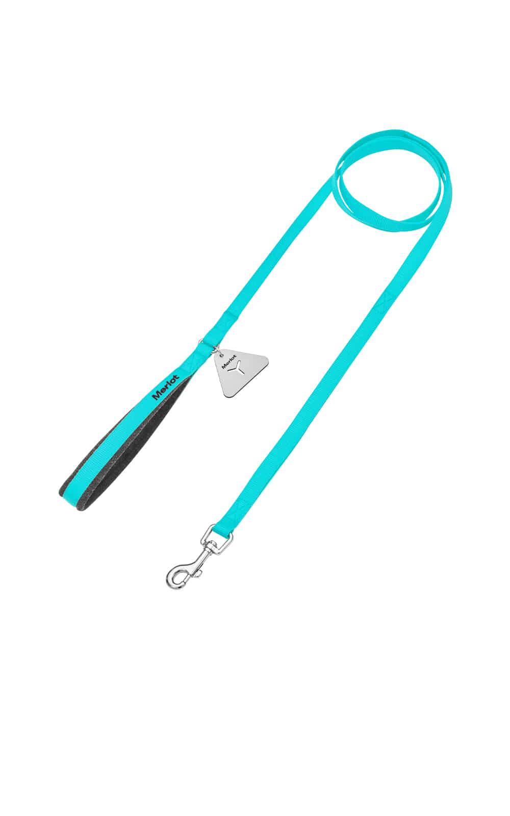 Ardor Leash Mint