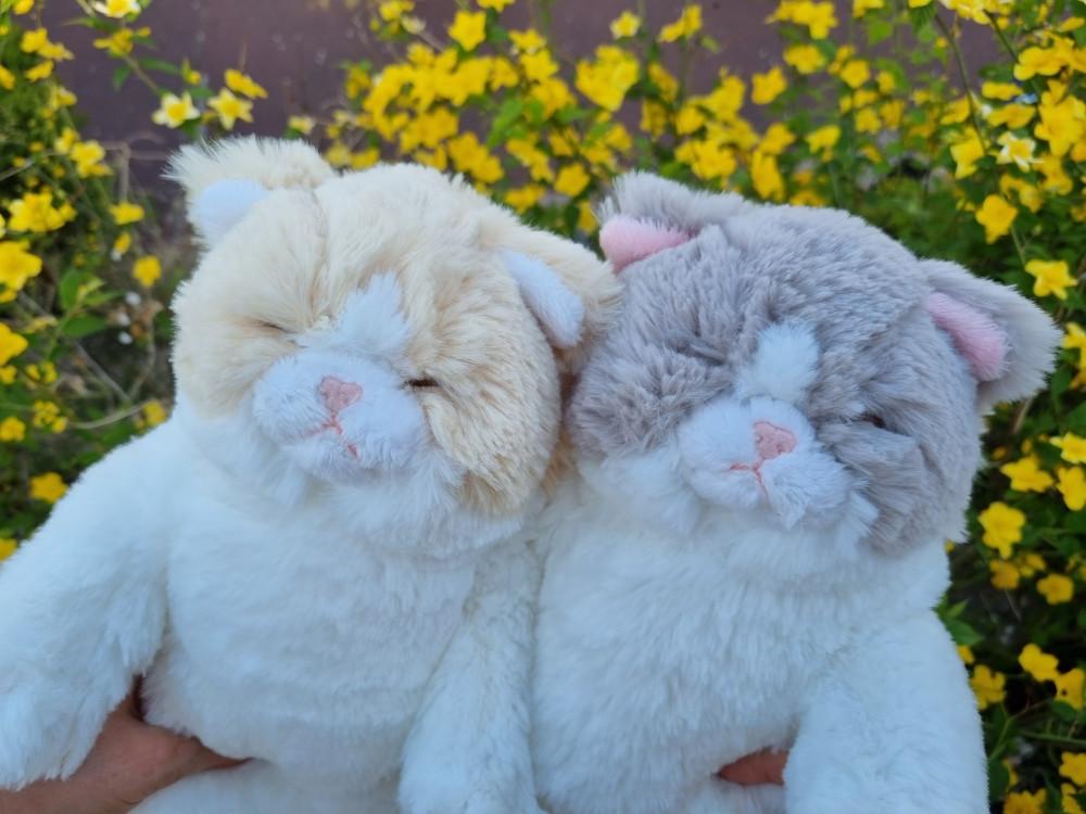 선레몬 쓰야쓰야 잠자는 귀여운 고양이 인형 뚱냥이 동물 수면 국민 애착 인형 4종