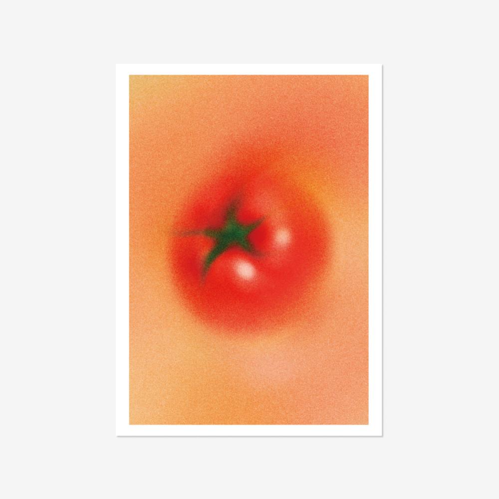 [A3 포스터] Tomato