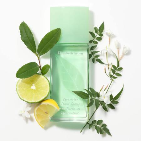 이런 상품 어때요? 그린티 센트 스프레이 EDC, 100ml, 1개