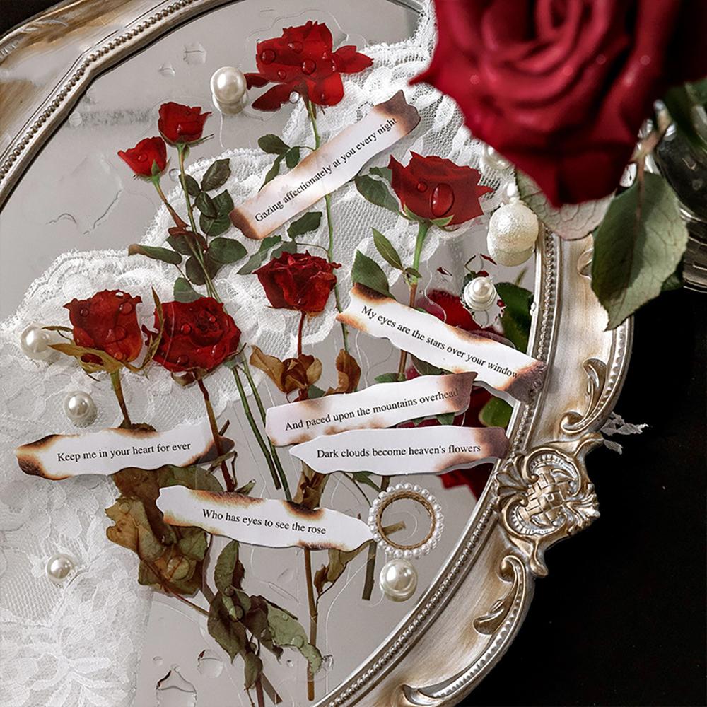 빈티지 다꾸 그을린 시집 플라워 PET 모조지 스티커 12매