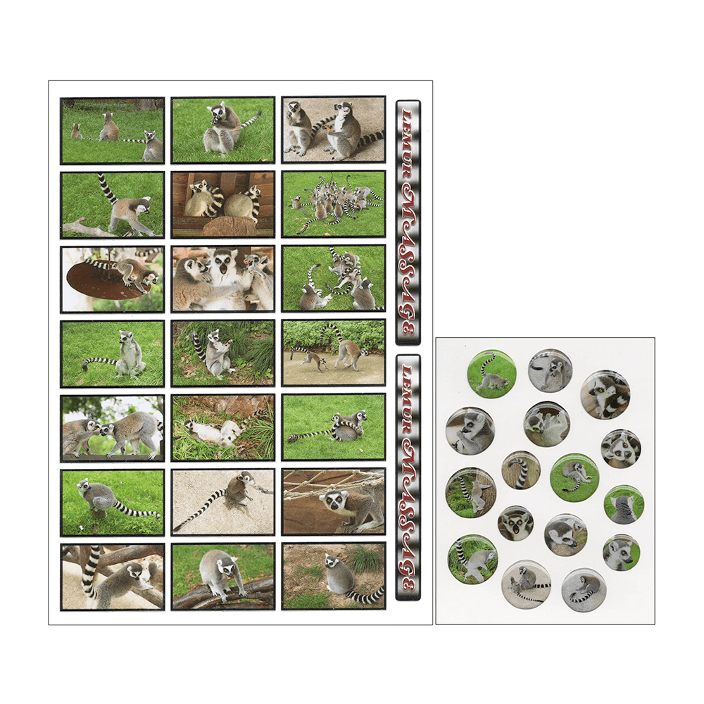 [niptong] 여우원숭이 lemur massage 스티커