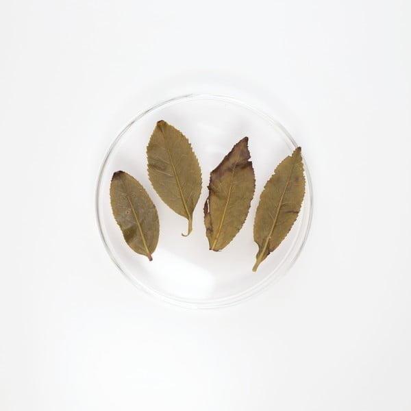 LOT025. 화강 고산차 23春