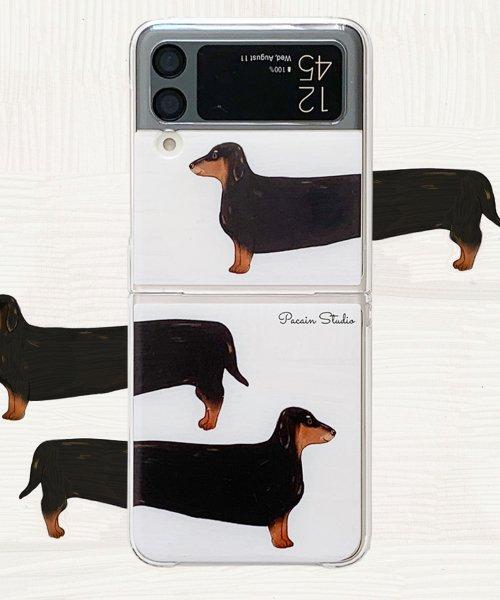 더 끝없는 닥스훈트! (까망이)