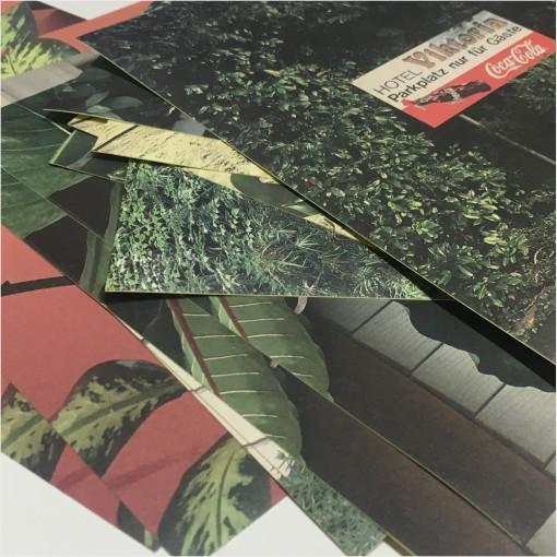 [자그네] Green pack 그린 스티커팩