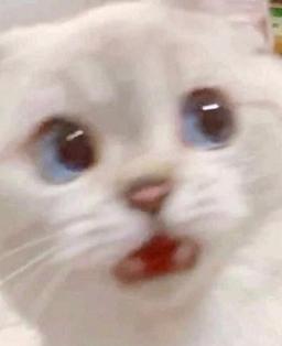 먁