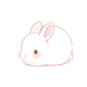 깽수니🐰