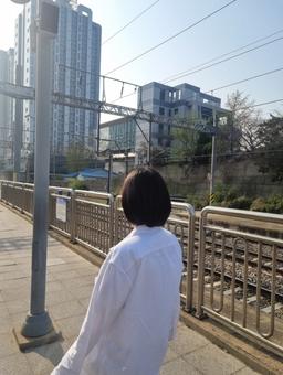 단풍