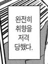 콩지