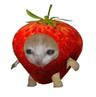 딸기